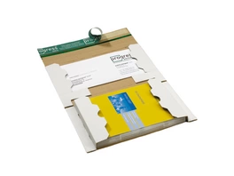 DVD-Mailer