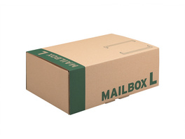 Dhl Kartons Fur Den Paketversand Von Profis Packster De