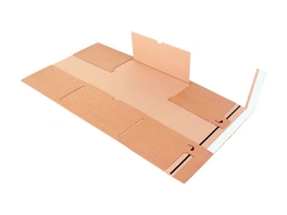 Schallplatten-/LP-Verpackung