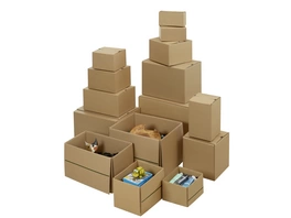 System-Versand-Transportkarton "Premium SuperFLAP"